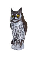 Owl Blow Mold
