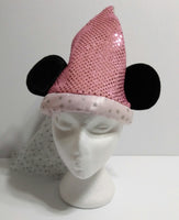 Walt Disney World Princess Hat- We Got Character