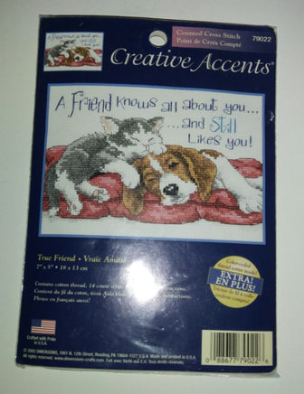 Creative Accents Counted Cross Stitch Kit True Friend-We Got Character