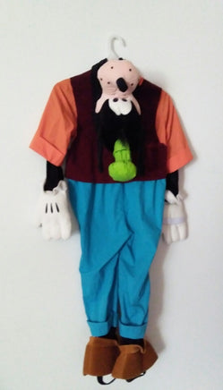 Disney Catalog Goofy Costume-We Got Character