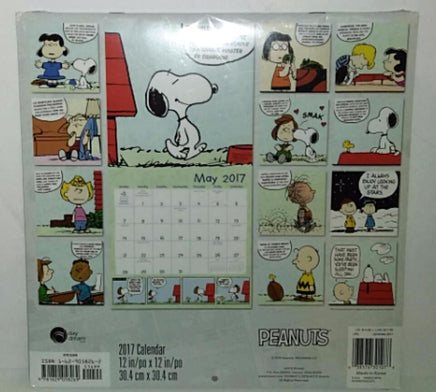 Peanuts 2017 Calendar-We Got Character