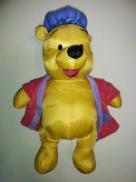 Winnie The Pooh Sham Pooh Bath Time Toy-We Got Character